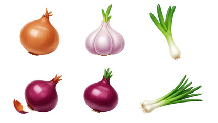 Variety of Onions and Garlic on Transparent Background Still Life