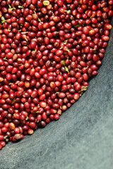 close up of fresh coffee beans for background                 