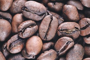 Coffee beans, Costa Rican Sudan Rumei hybrid (black honey process)