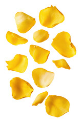 Naklejka premium Floating yellow rose petals isolated background