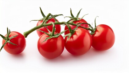 tomatoes on a white background