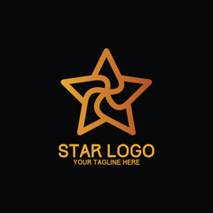 Star Logo Design (1)