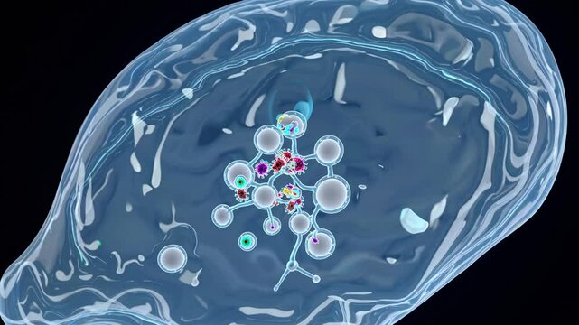 Molecular dynamics in transparent medium showing complex interaction and movement