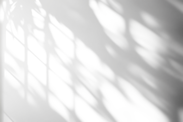 shadow overlay effects of realistic window and tree branch shadow with light blur on transparent background,Summer sunlight and shadow overlay effect