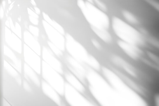 shadow overlay effects of realistic window and tree branch shadow with light blur on transparent background,Summer sunlight and shadow overlay effect