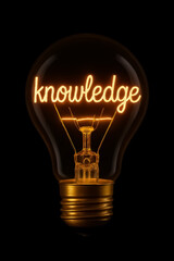  'knowledge' written with filaments inside a glowing light bulb on a black background