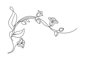Elegant SingleLine Floral Vine Drawing Botanical Art Design © Rita