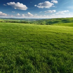 Obraz premium green field and blue sky
