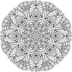 Simple Line Drawings, Line Drawings for Painting Practice, Mandala Paintings, Line Drawings for Making Coloring Books, Printings, Covers, Patterns on Product Surfaces.