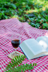 Books and a glass of red wine on a red plaid cloth on green grass in a tropical forest. Picnic season