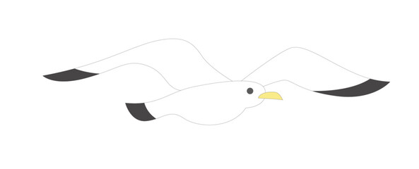 Obraz premium かもめ