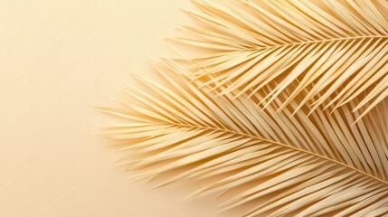 Obraz premium Dried Palm Leaves Beige Background Tropical Summer Texture Natural Wallpaper