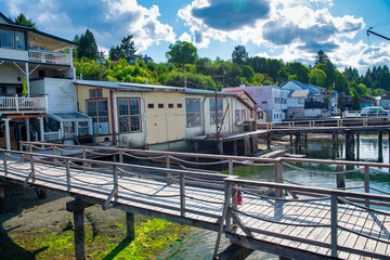 Amazing view of Genoa Bay and Marina along Vancouver Island coastline