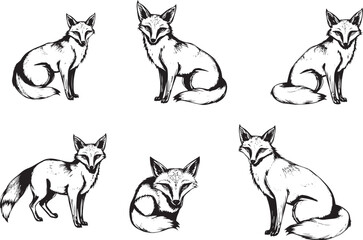 A set of foxes. Hand drawn vector illustration	