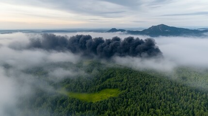 Obraz premium Aerial View Dark Smoke Pollution over Forest Environmental Disaster