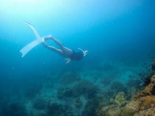Fototapeta premium Beautiful snorkeling in the tropical sea.Travel lifestyle, watersport adventure, swim activity on summer beach holiday