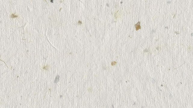 White recycled paper cardboard surface texture background