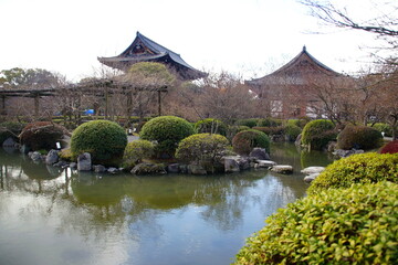 東寺　庭園 瓢箪池　京都市 南区 九条町
