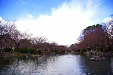 東寺　庭園 瓢箪池　京都市 南区 九条町
