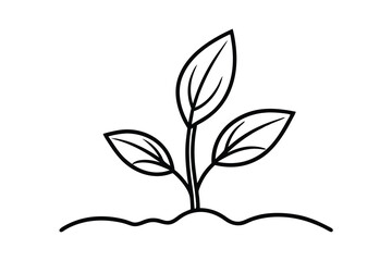 Simple Line Drawing of a Young Plant Sprout Growing