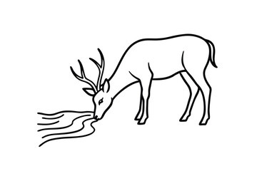 Buck Deer Drinking Water, Line Art, Nature Illustration, Wildlife Sketch