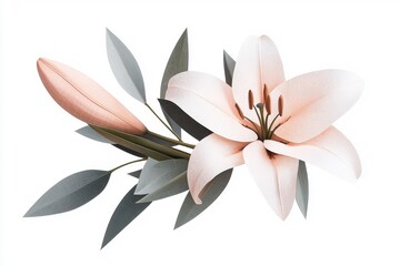 A low polygon style lily, isolate on a white background, featuring geometric shapes and a contemporary design.
