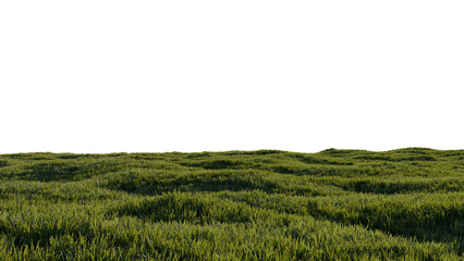 green grass landscape horizon 3d png hill high quality rendering background wallpaper illustration	

