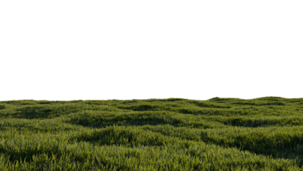 green grass landscape horizon 3d png hill high quality rendering background wallpaper illustration	

