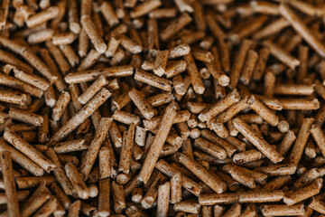 A close-up of wood pellets used as biofuel. The natural texture and warm brown tones create an eco-friendly and organic look. A great choice for illustrating topics related to renewable energy, heatin