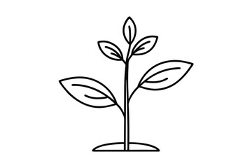Simple Line Drawing of a Young Plant Sprout Growing