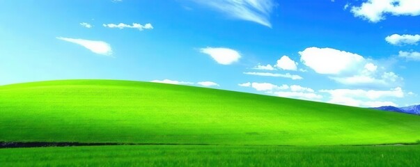 Obraz premium Vibrant green grass stretches to a flawless azure sky, texture, image