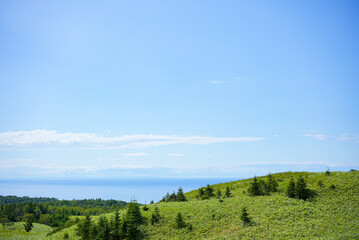 Obraz premium 海沿いの草原と晴れた夏の空
