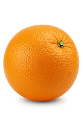 Fresh Orange on White Background