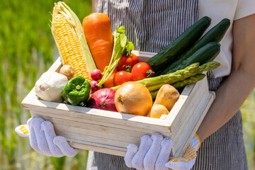 木箱に入った野菜を持った女性