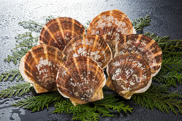 ホタテ貝 © TAGSTOCK2