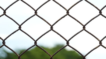 Fototapeta premium Rusty mesh fencing with blurred tree in the background.