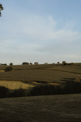 Obraz premium View to the green hill in the UK.