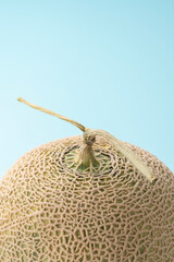 メロン 夏の果物