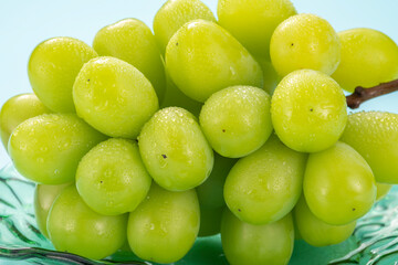 シャインマスカット　夏の果物