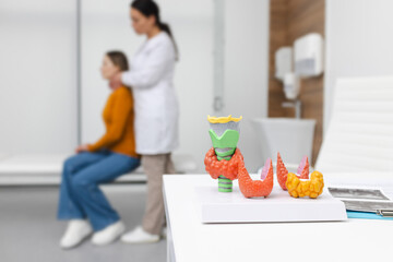 Anatomical model of thyroid gland on doctor's table, close-up. Endocrinologist consulting a patient with endocrinological disease