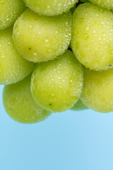 シャインマスカット © TAGSTOCK2