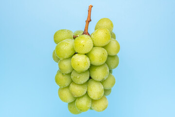 シャインマスカット © TAGSTOCK2