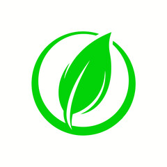 Fototapeta premium green leaf icon