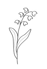 Sketch of a lily wildflower. Vector illustration of a spring flower icon. Isolate on white.