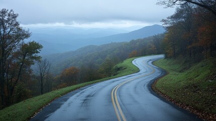 Fototapeta premium A cinematic shot of a winding mountain road on a rainy afternoon, taken from a high vantage point. The wet asphalt reflects the moody gray sky.