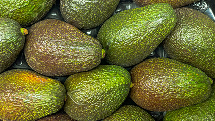 Lots of green avocados in a box in a store. Fruits on the counter in a supermarket