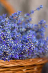 Fototapeta premium Basket with lavender flowers. Aromatherapy
