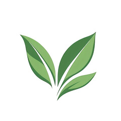 Fototapeta premium A Vibrant Representation of Nature: Capturing the Essence of Green Leaves Against a Dark Background for Symbolism of Freshness and Growth