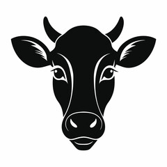 black and white cow