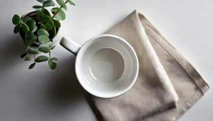 Flat Lay of White Mug with Houseplant and Cotton Napkin on White Table